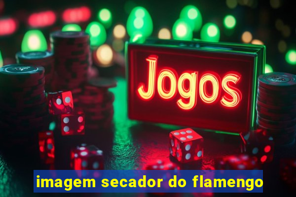 imagem secador do flamengo